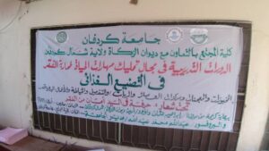 كلية المجتمع بجامعة كردفان تخرج (34) دارسة في دورة تمليك مهارات الحياة لمحاربة الفقر