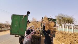 حملة نظافة واسعة بمقابر دليل بالأبيض تؤكد روح التكافل والعمل الطوعي